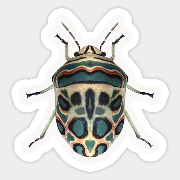 Picasso Bug Sticker by InsecTees by Dom Lever